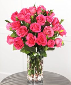Hot Pink Candy Roses