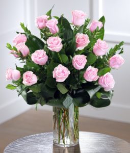 She will love our Tiffany Blush Pink Ecuadorian Mountain Roses, hand-picked in the high elevations where the combination of full sun and cool temperatures create the perfect rose.  Our farms feature 30% larger blooms, longer vase life and luxurious petal counts.
