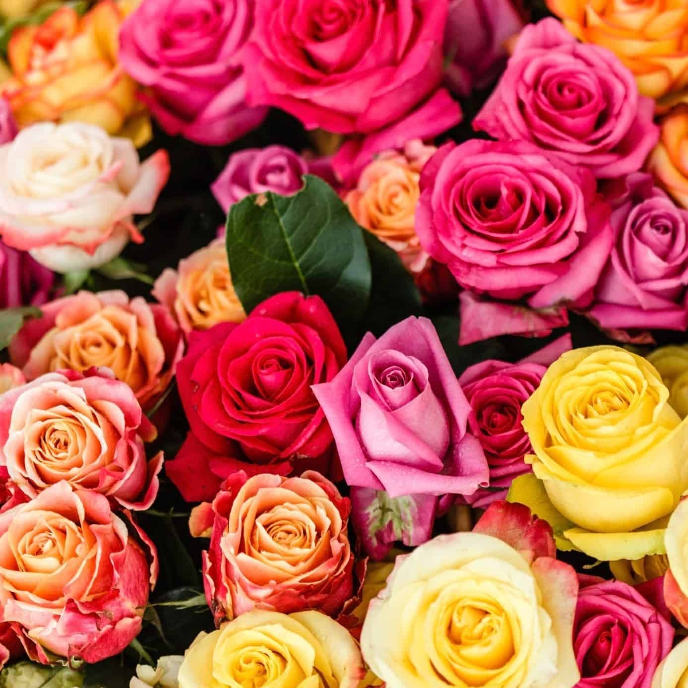 Floral Roses Spring Our Favorite Spring Flowers - Carithers Flowers Atlanta