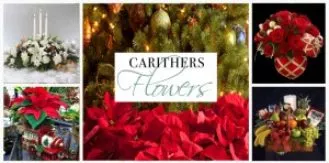 carithers-facebook-timeline-photo-christmas-2012