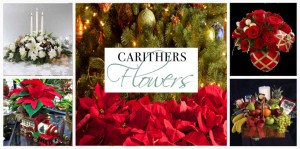 Carithers Facebook Timeline Photo - Christmas 2012