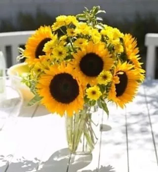 endless-sunflowers4