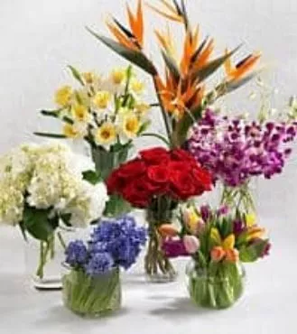 monthly-flower-arrangement-program