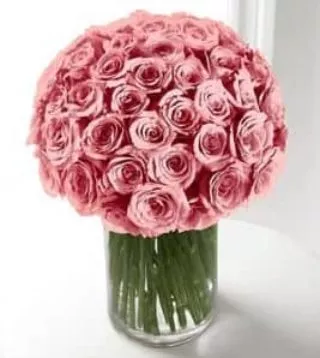 rose3