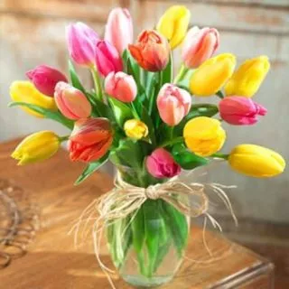 spring-tulips1