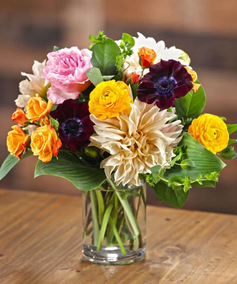 Dahlias and Sunflowers For Late Summer, Early Fall Carithers Flowers