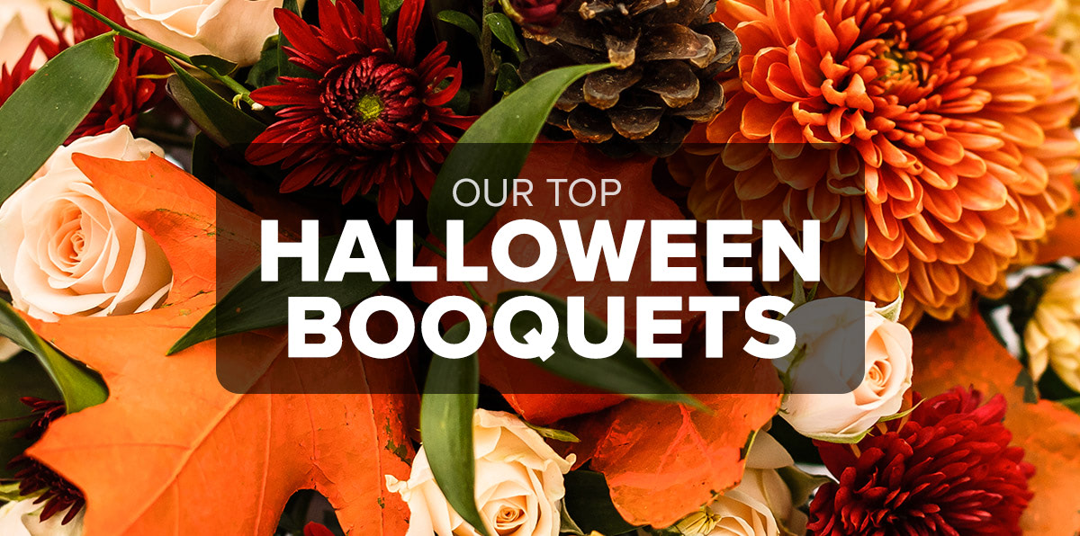 Get Excited for Halloween with These Scary Flowers - Carithers