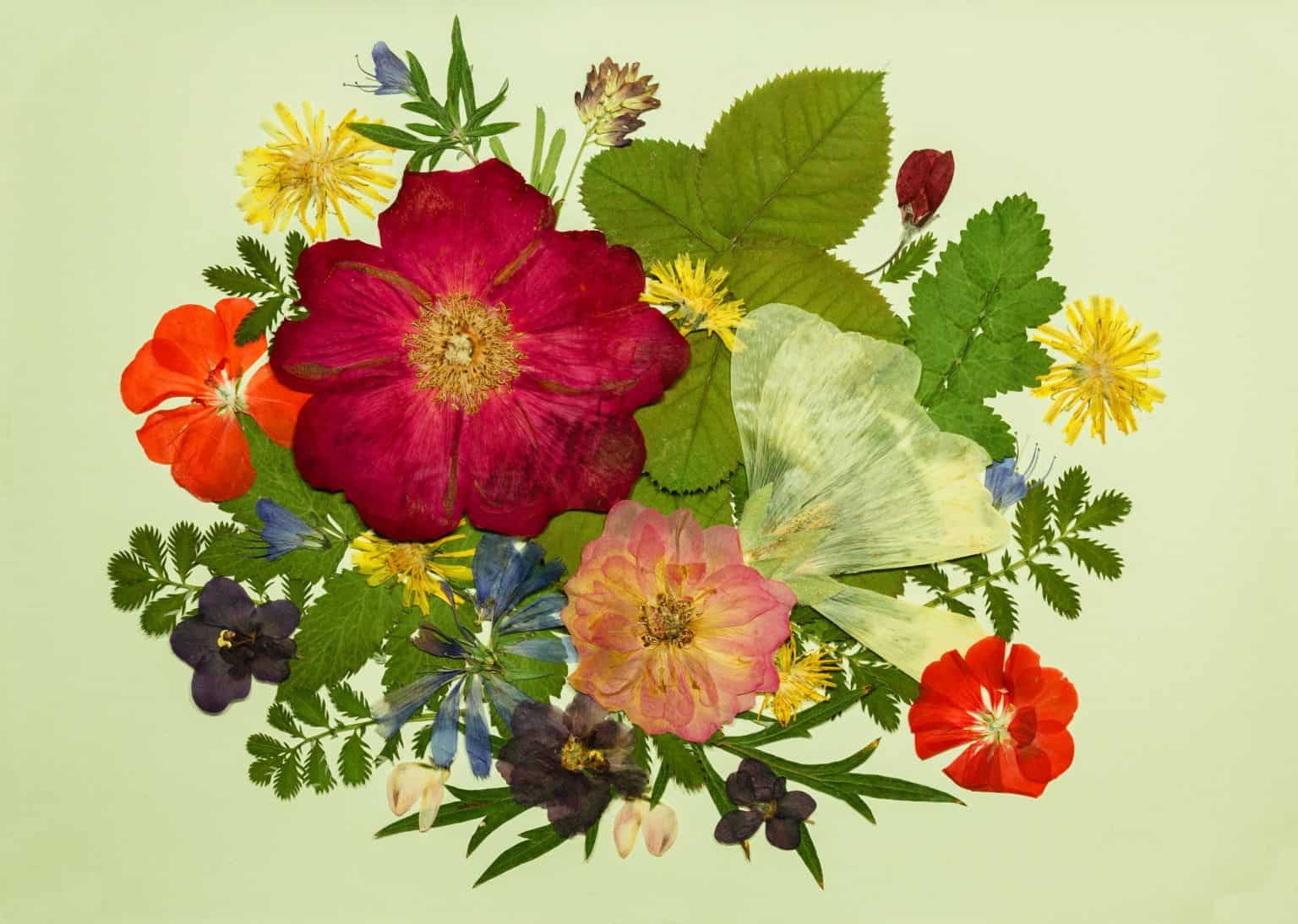 The Easiest Way to Dry Flowers Carithers Flowers Atlanta