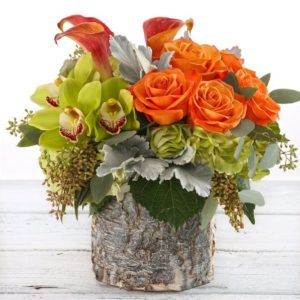 Deliver a favorite treat of exotic orchids, tangerine roses, sunset mini calla and rich floral foliages artfully designed in a birch cylinder